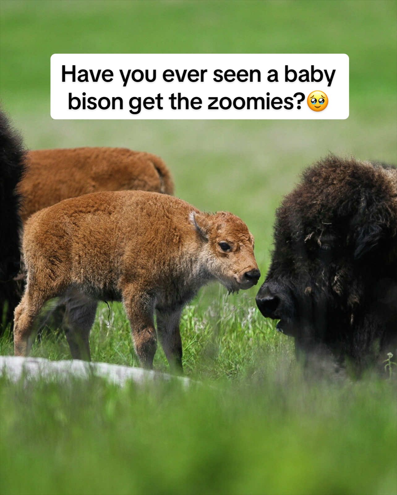 @Rhenz 🌻