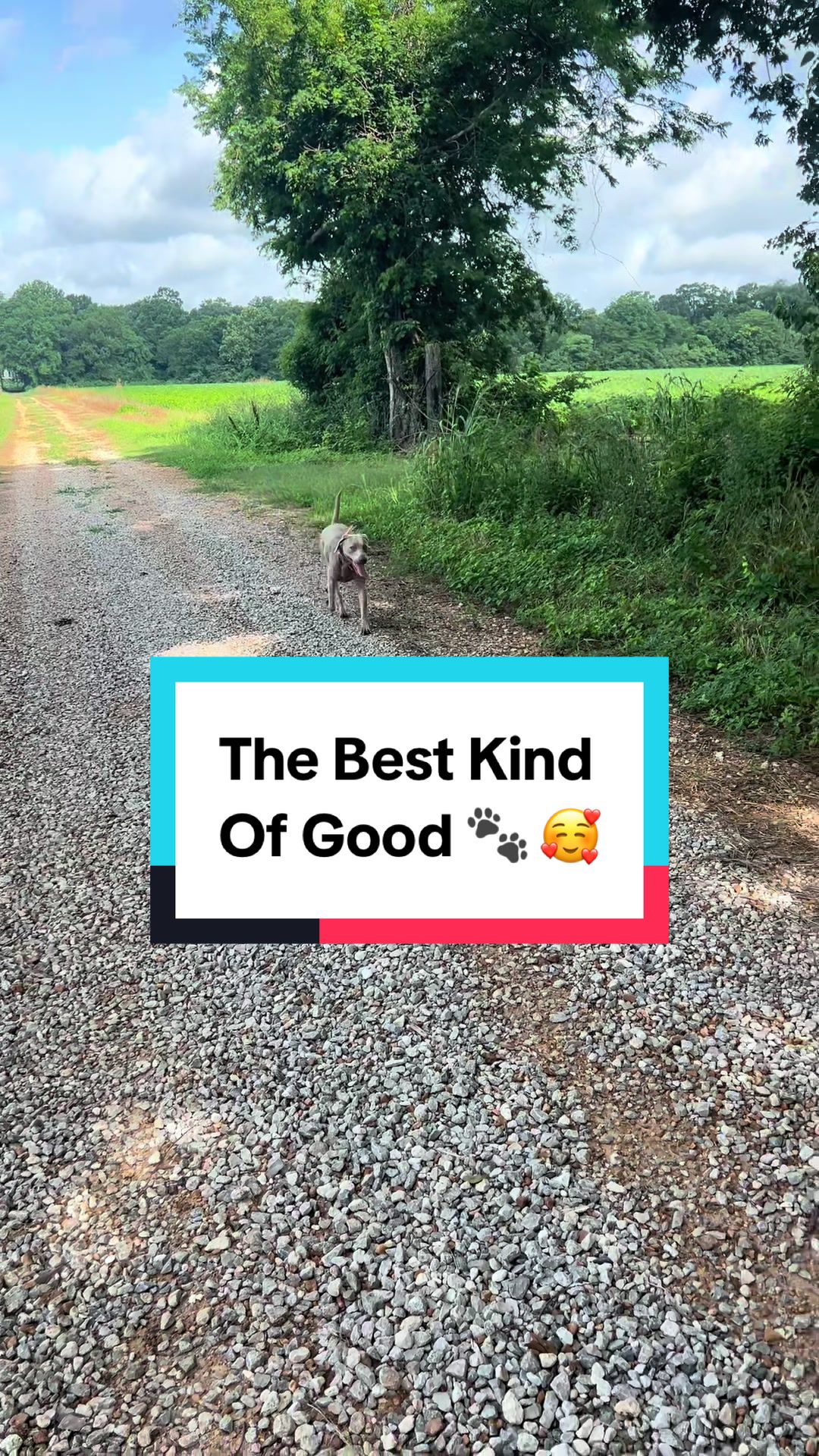 @goodenoughmediallc