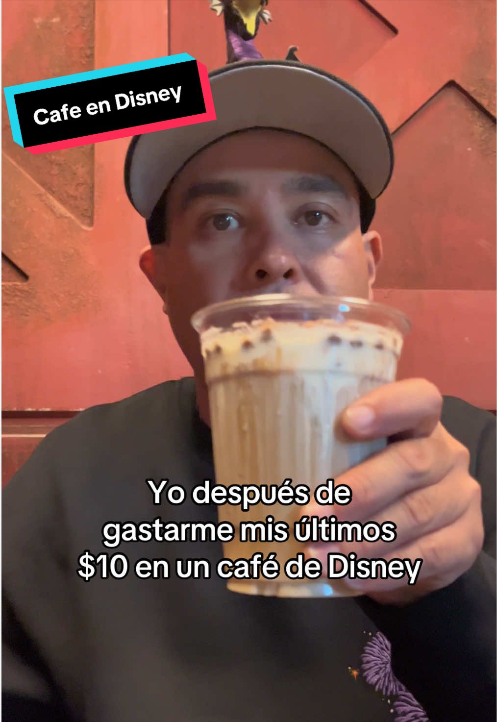 @En Disneylandia