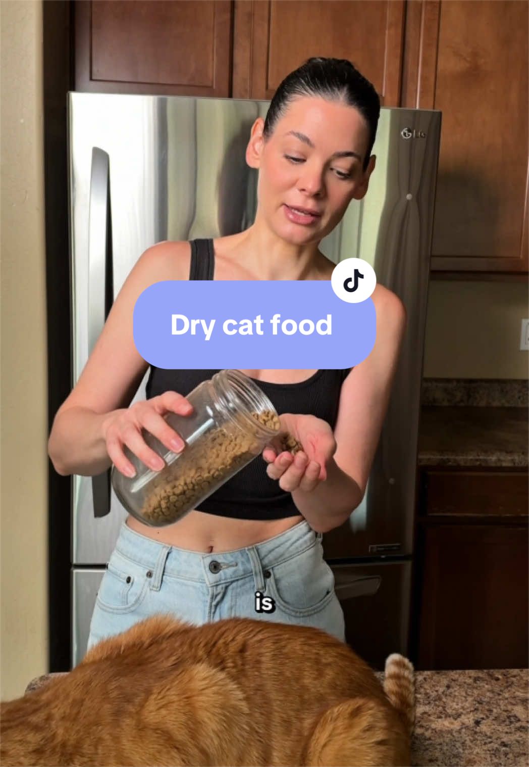 @Feminist Kitty | Cat Nutrition