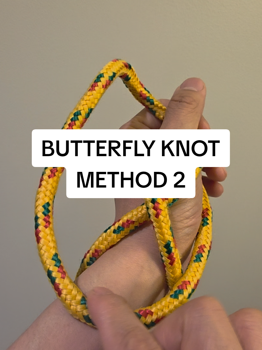 @knotsaurus