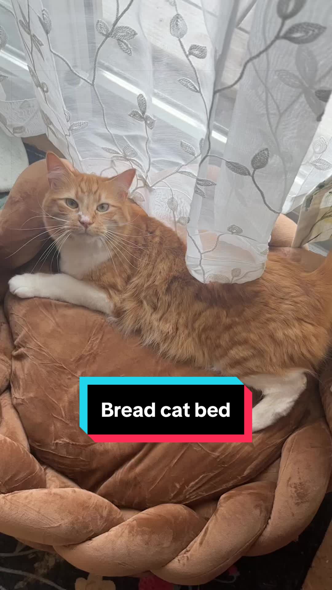 @meloncreamcat
