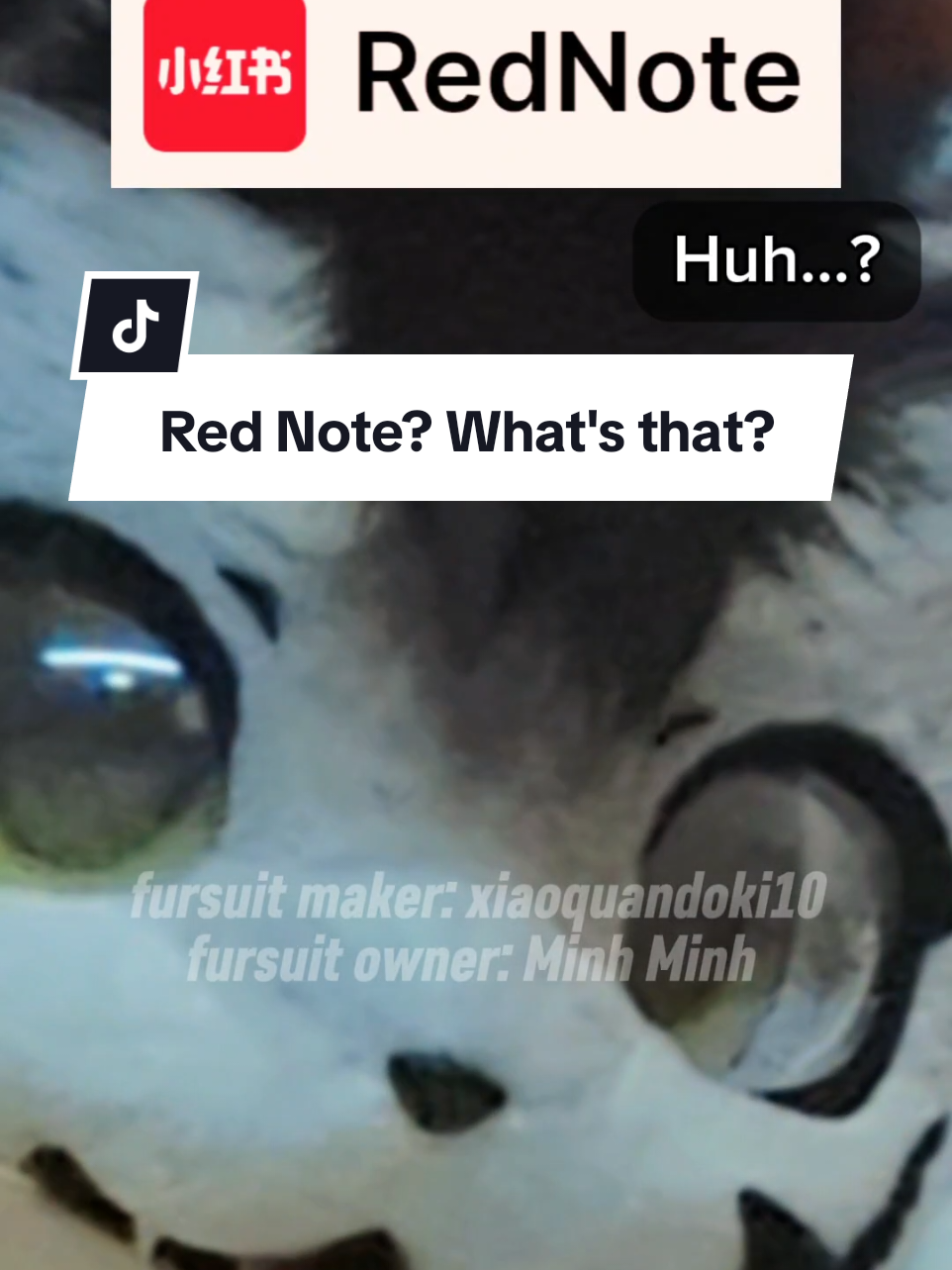 @Minh Minh