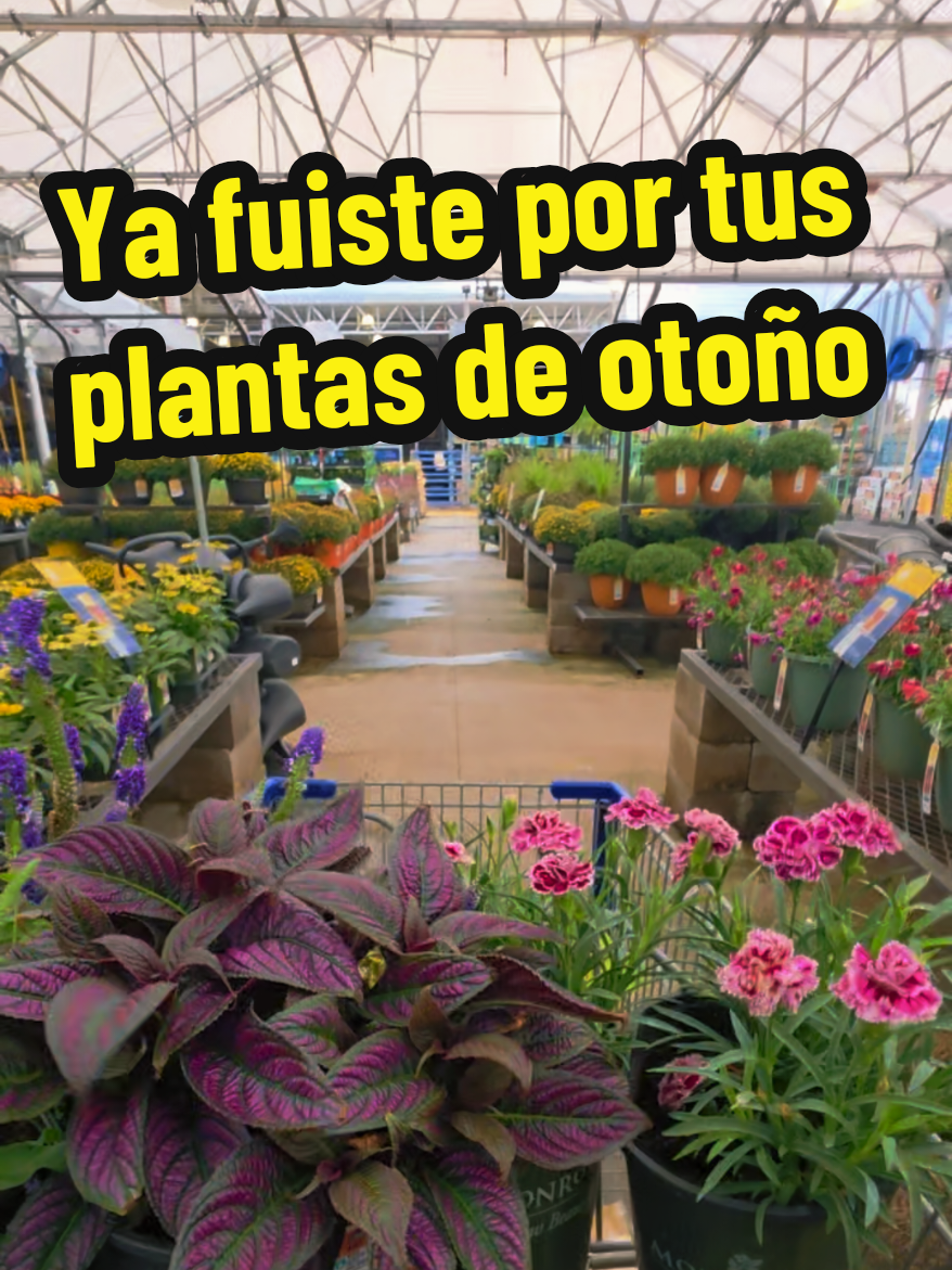 @Mi Rinc&oacute;n Favorito