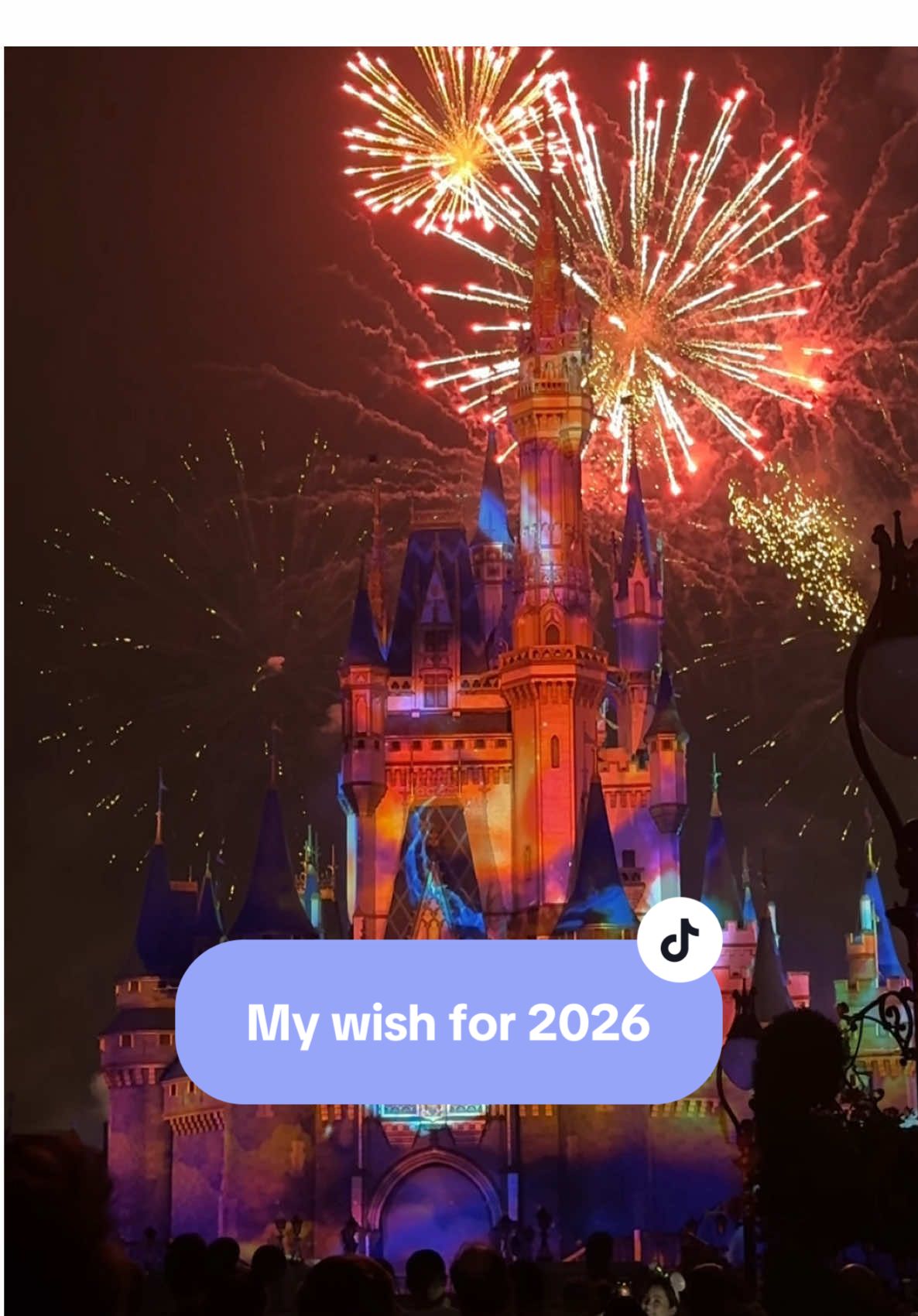 @Antoinette | Cozy Disney FTM