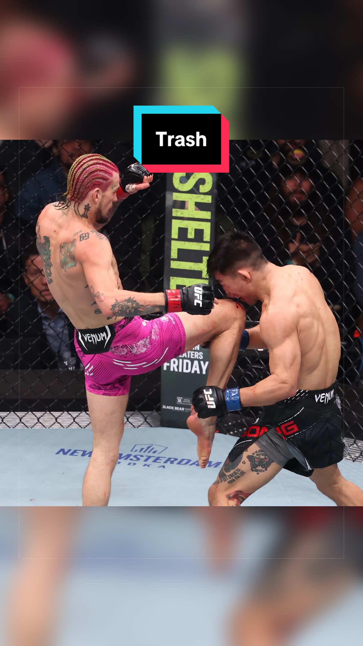 @MARAUDERMMA