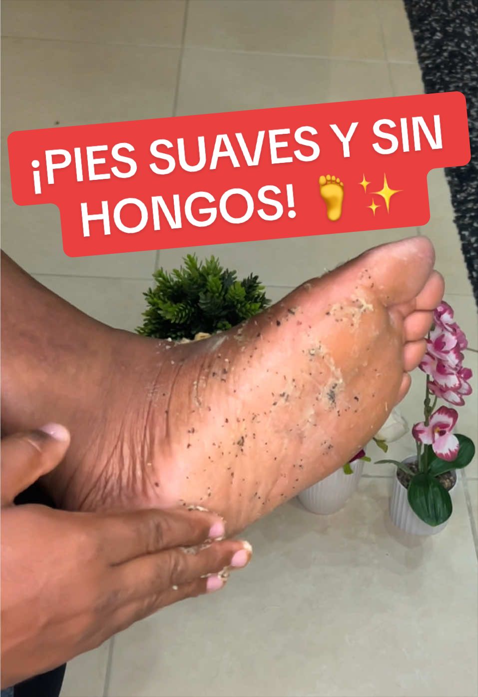 @Consejos para tu casa y más