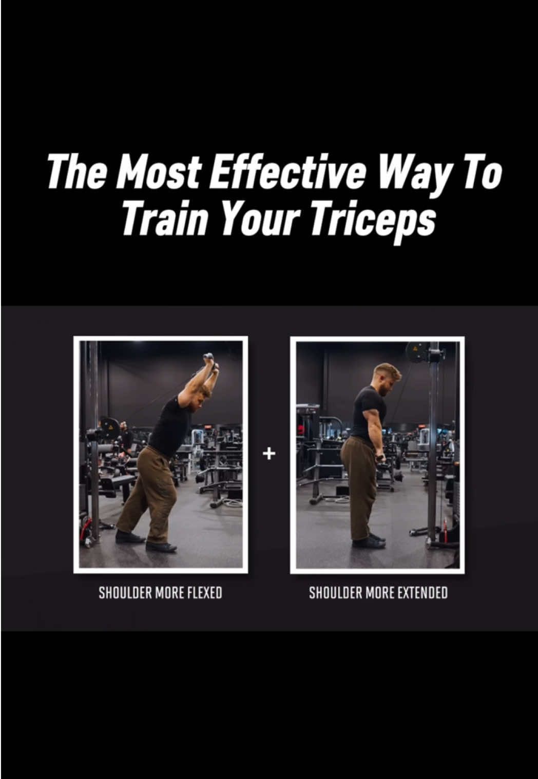 @theschoolofgains