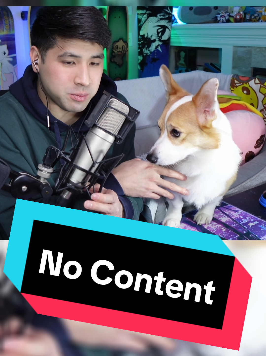 @Protocorg | Twitch Streamer