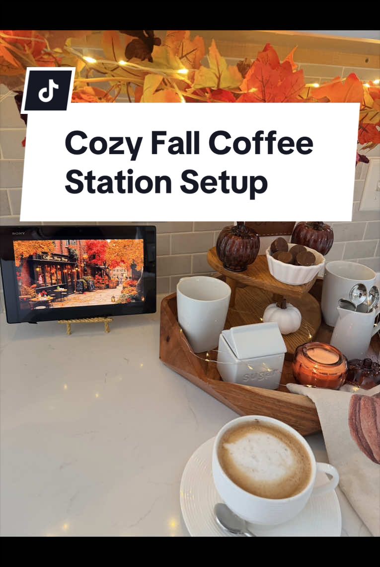 @ZW | Daily Finds