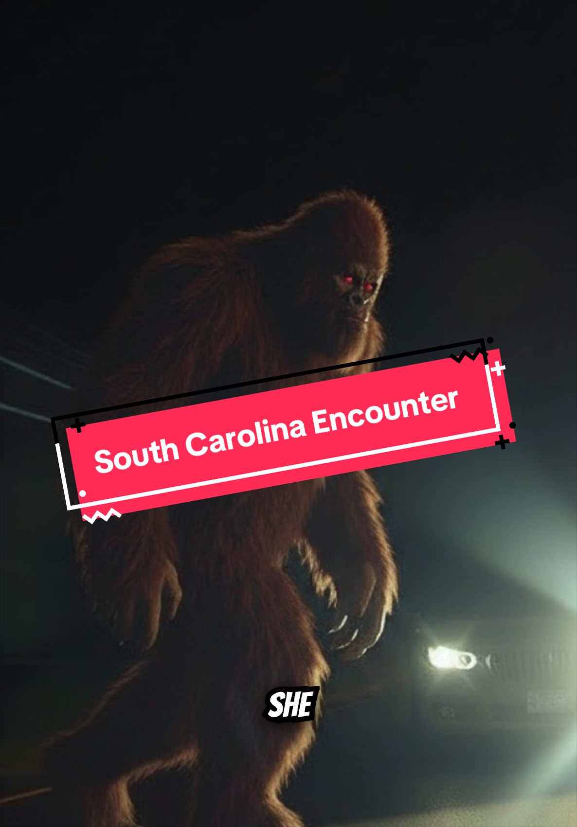 @Bigfootbirdwatcher
