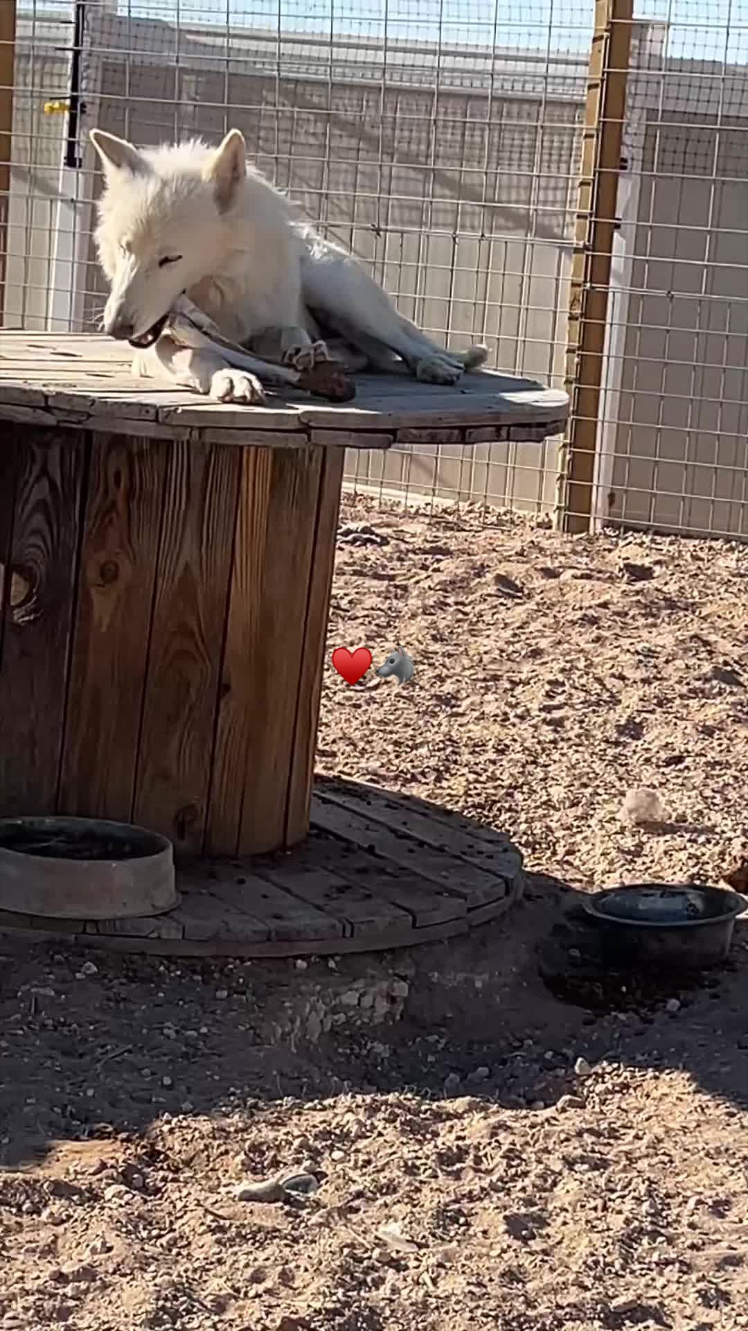 @KeeperOfTheWolves