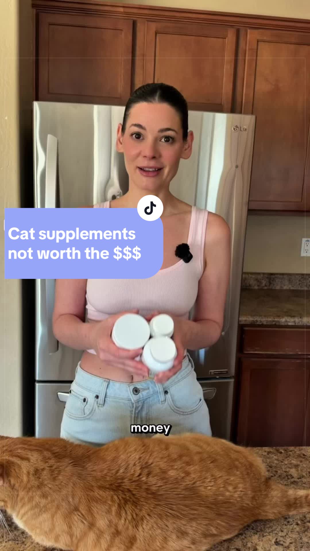 @Feminist Kitty | Cat Nutrition