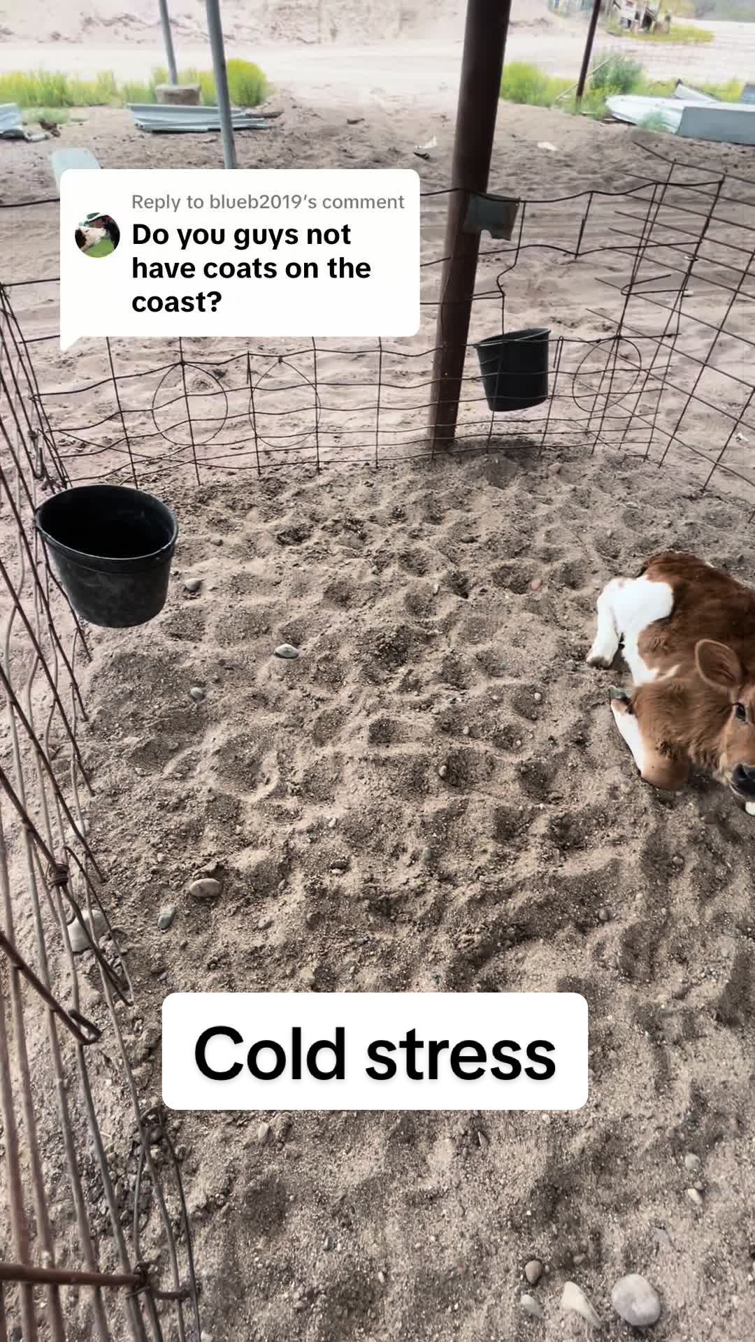 @Dairy Vet Dr. Michelle