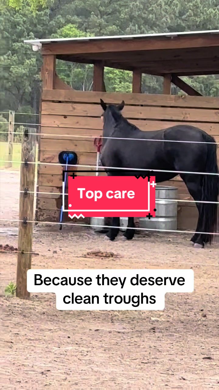 @itiswellstables
