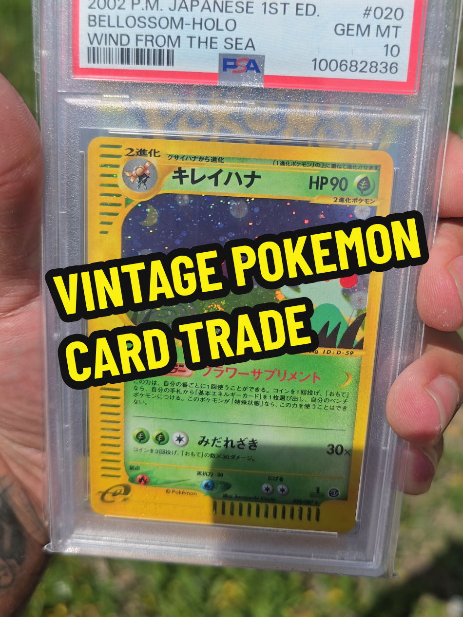 @PokeDread