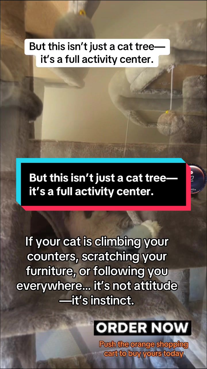 @busytre227.0