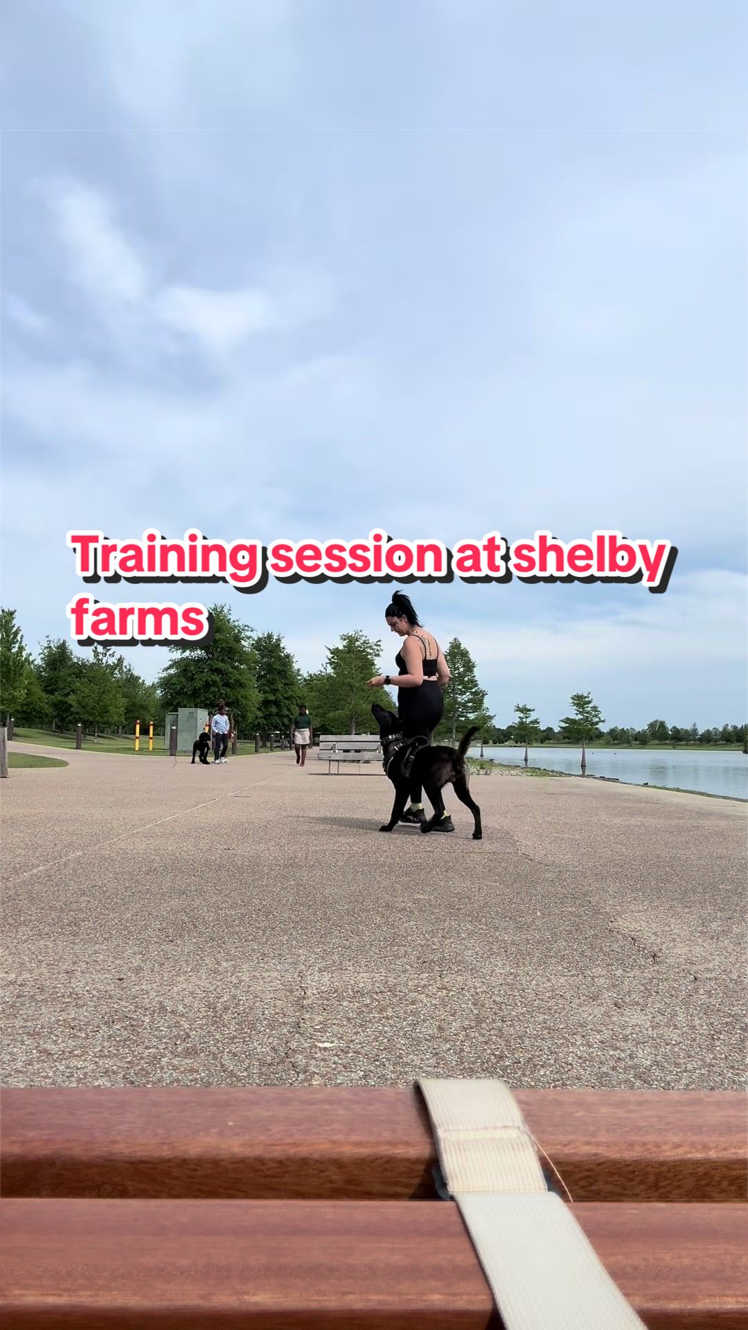 @CRZK9 Dog Training