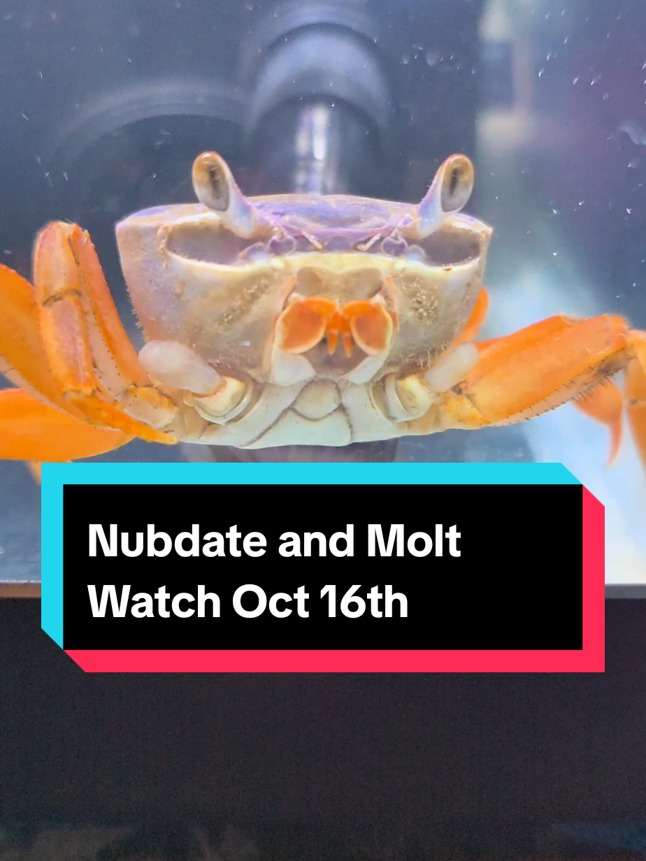 @Howie The Crab