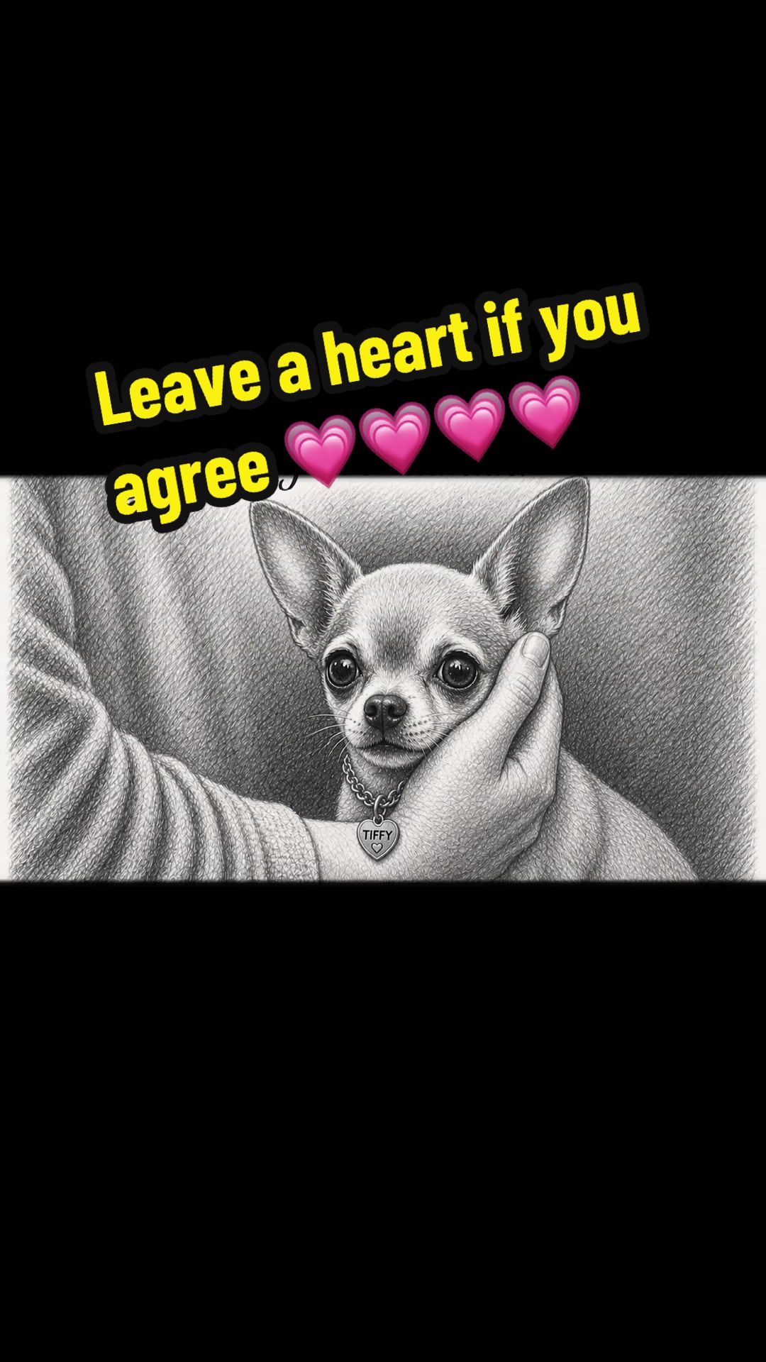 @Tinytiffytheteacupchihuahua