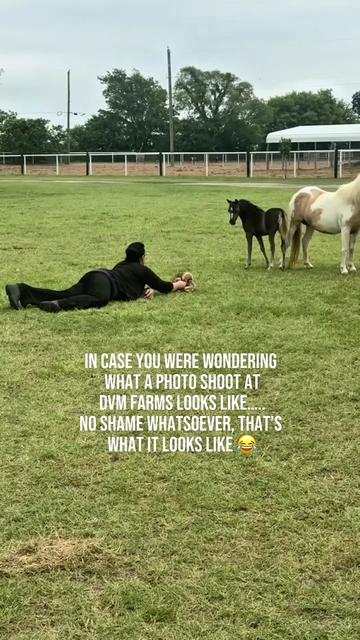 @Dr.Nicole-VetMed
