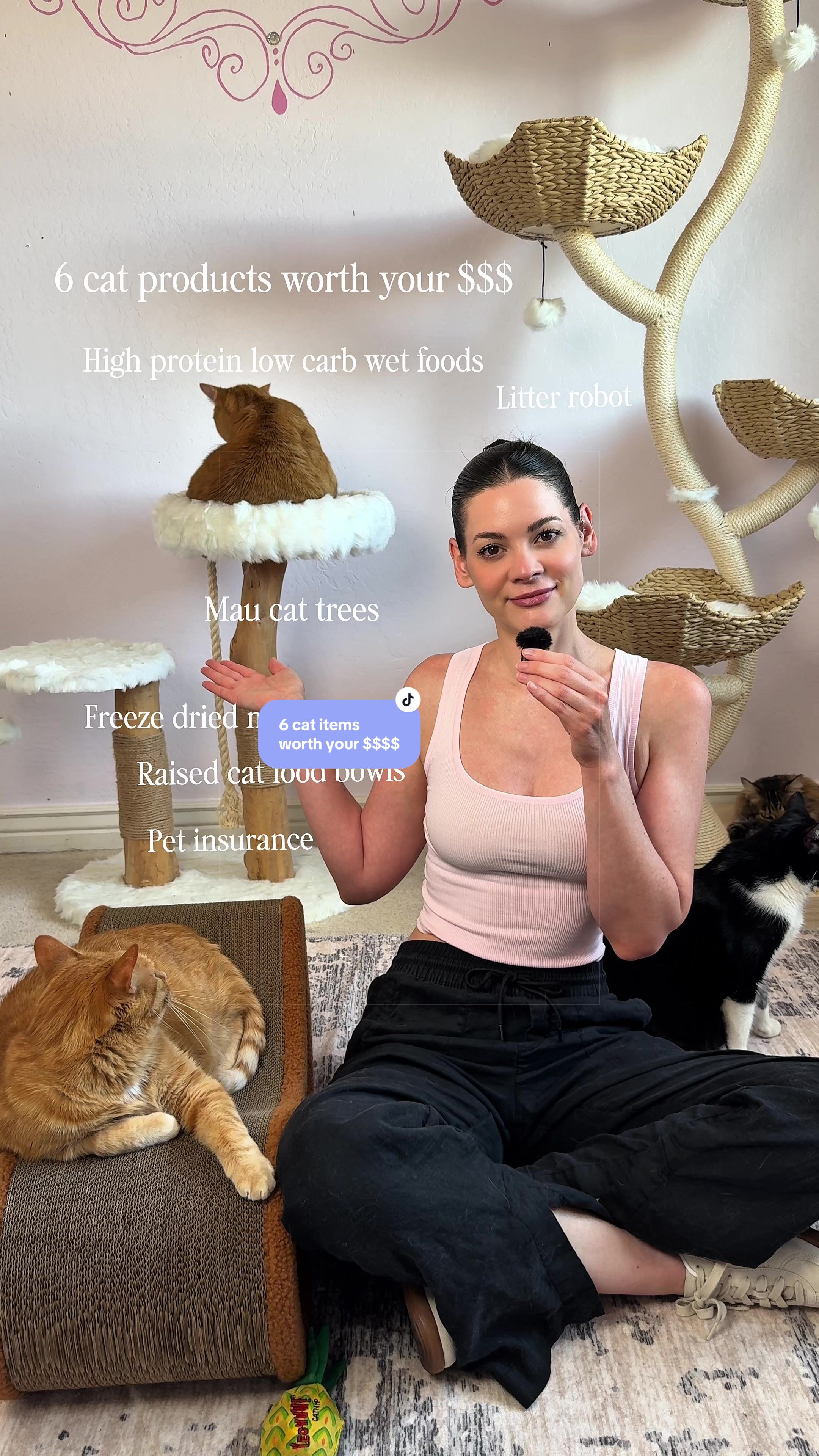 @Feminist Kitty | Cat Nutrition