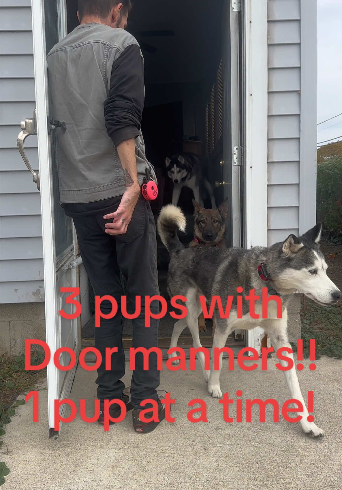 @Fully Unleashed K9 Training