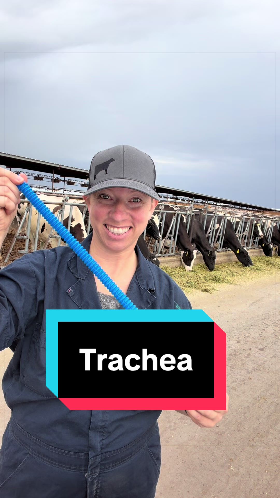 @Dairy Vet Dr. Michelle