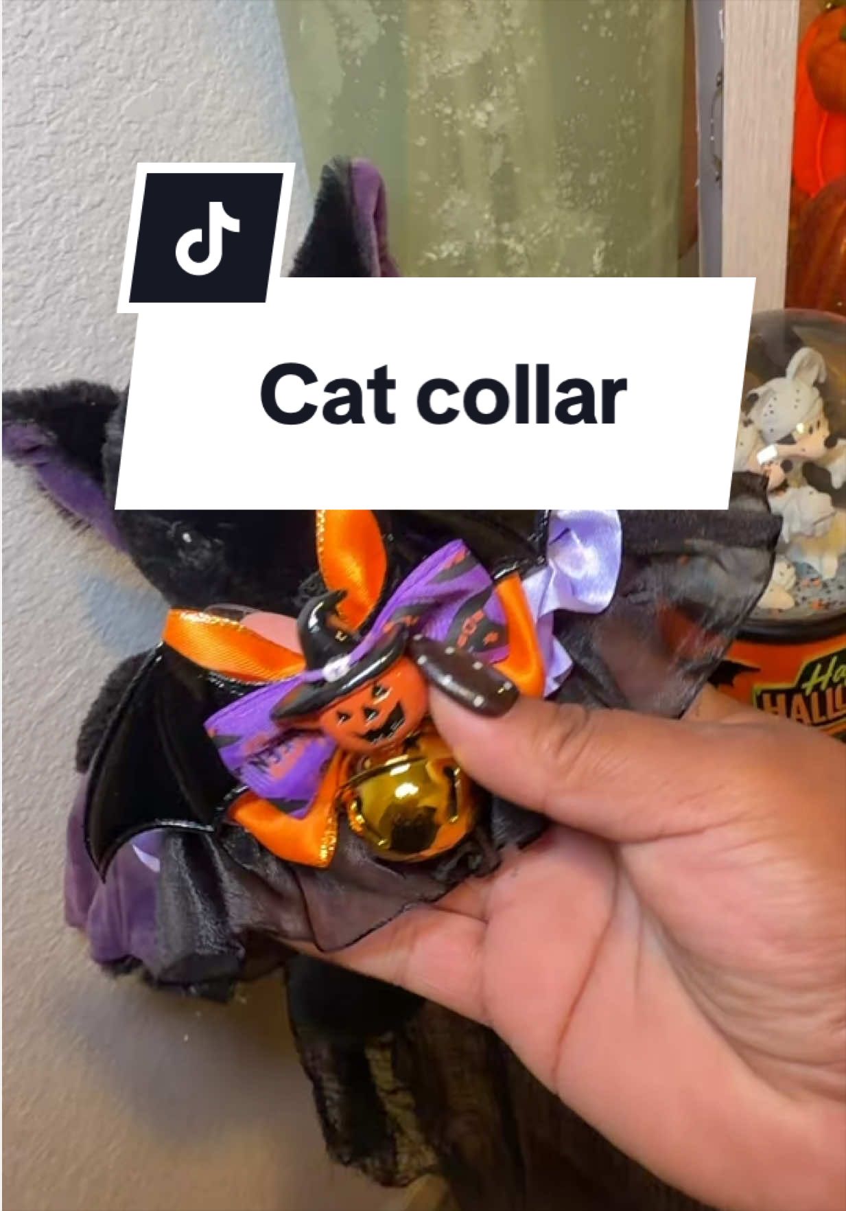 @Crystal Chavez ᥫ᭡