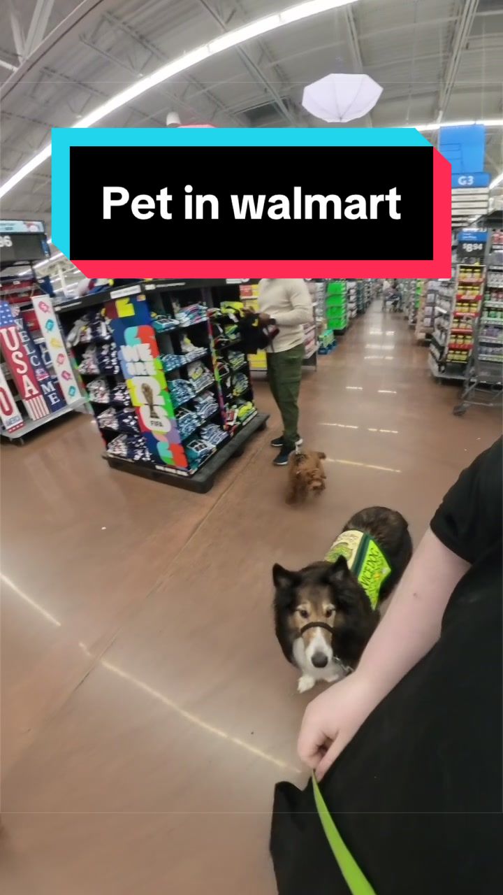 @Dakota & Pups