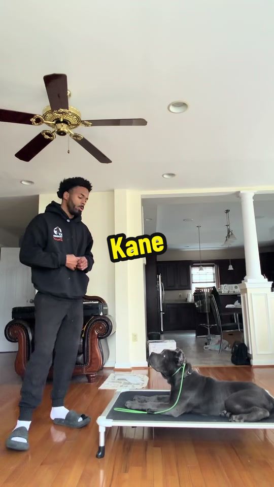 @daeleww