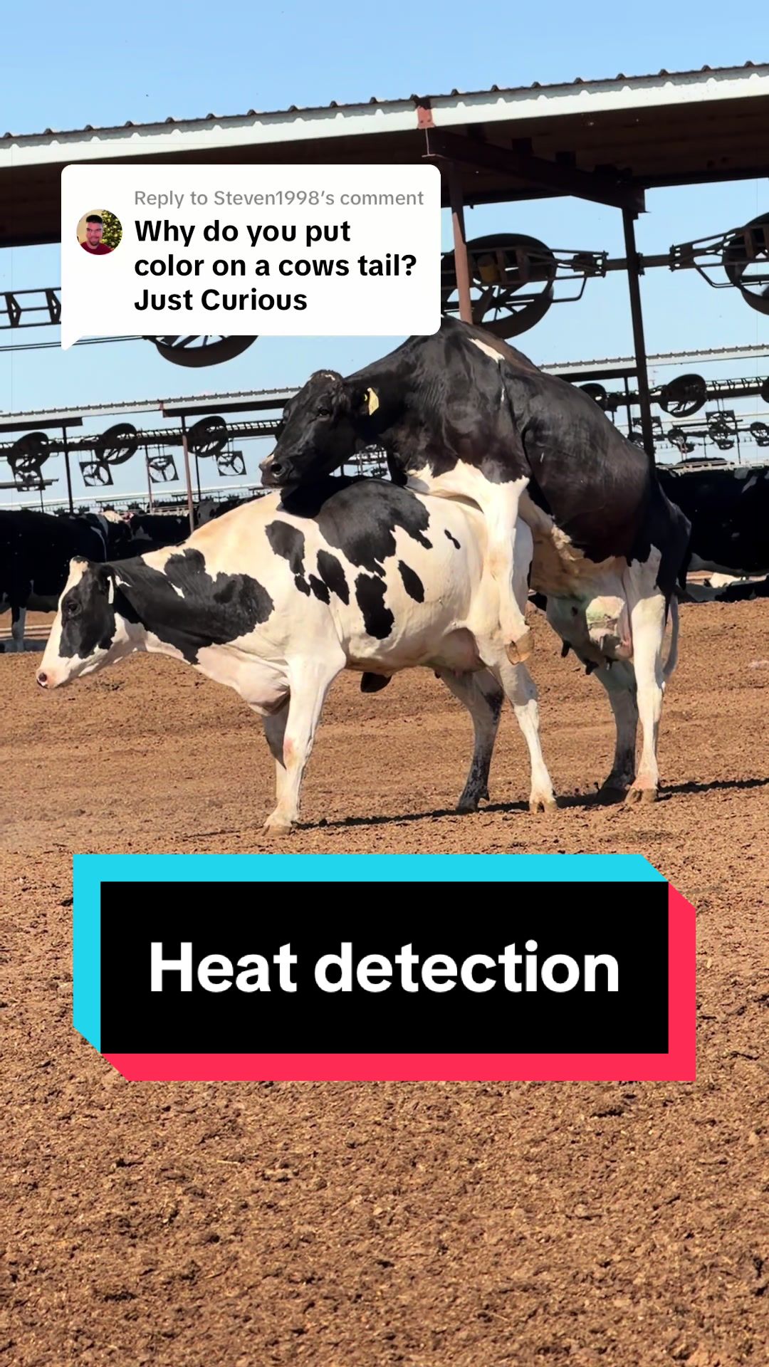@Dairy Vet Dr. Michelle