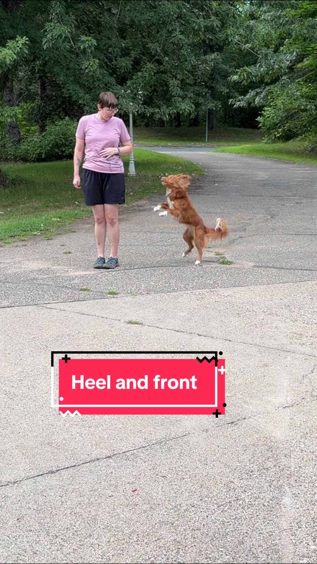 @Laura Waudby - Dog Sports