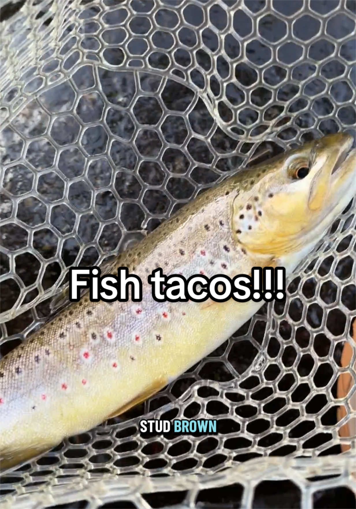 @TroutDoor | Fly Fishing