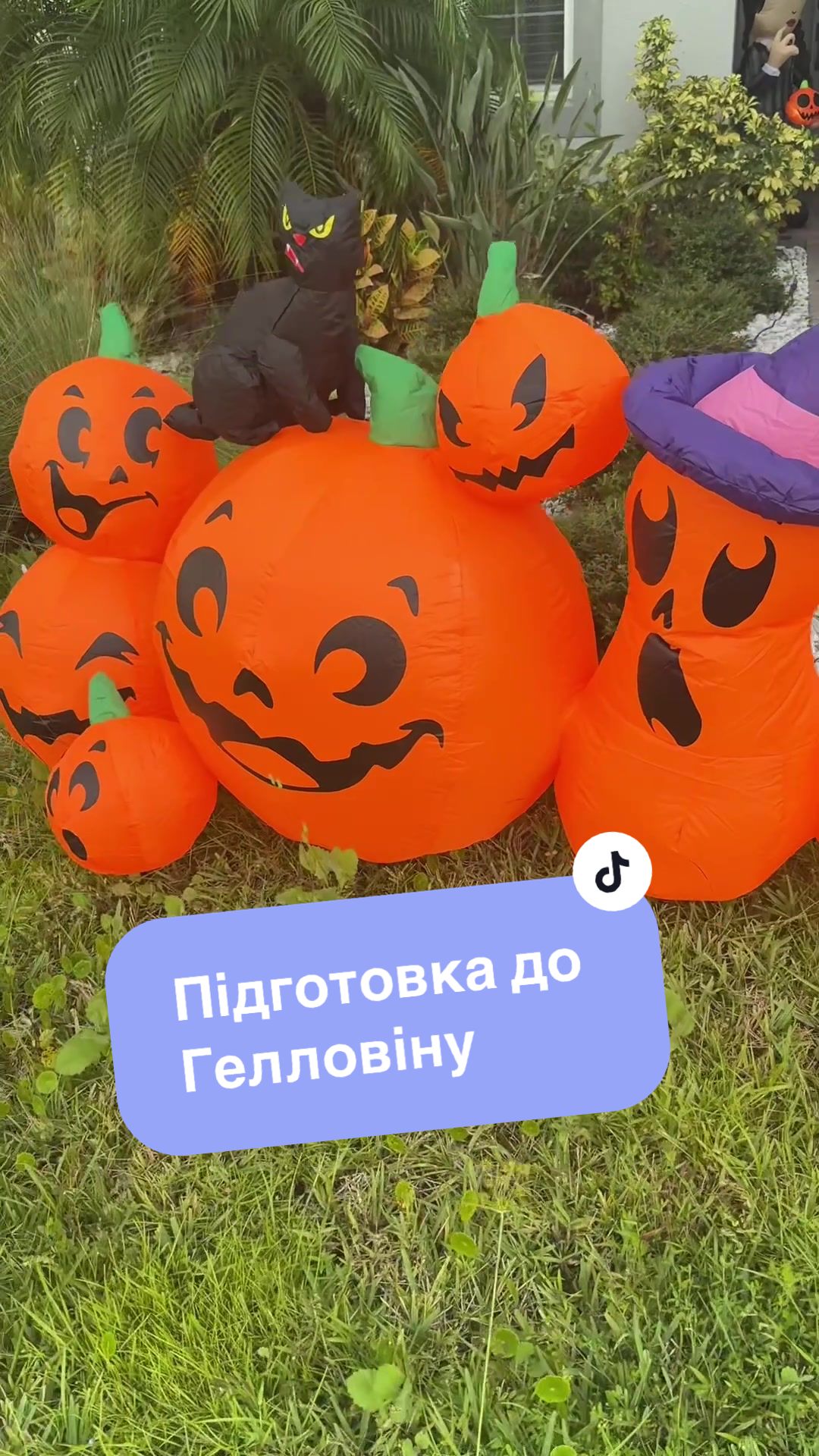 @ulianasukmanovska