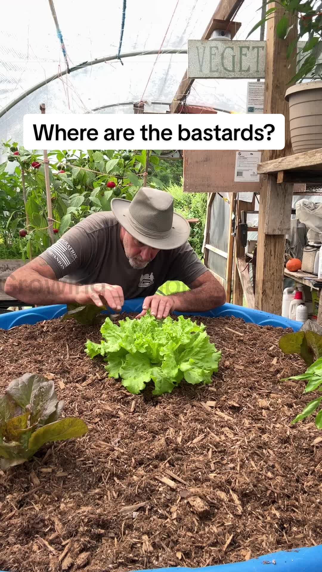 @GROWING_EDIBLE_PLANTS