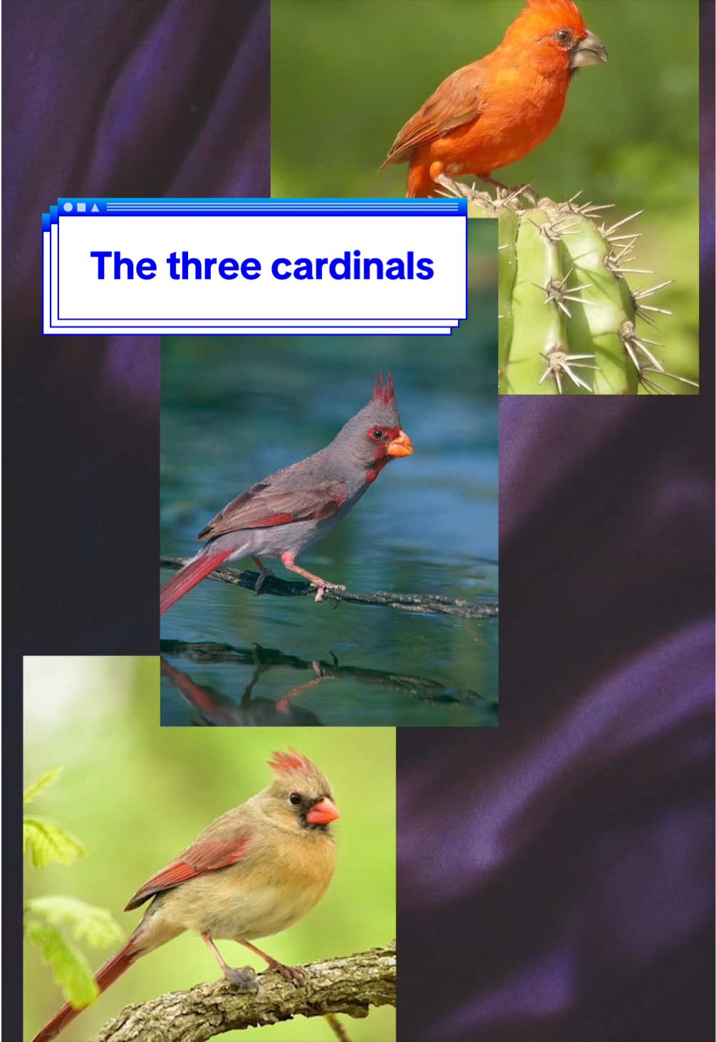@Nature is Surreal