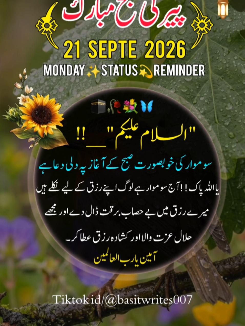 @basitwrites007