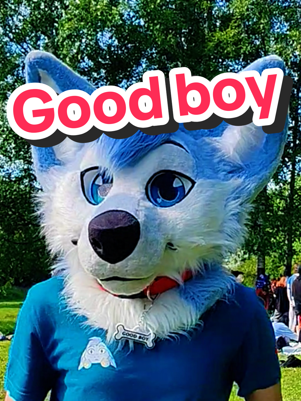 @SifkaFox