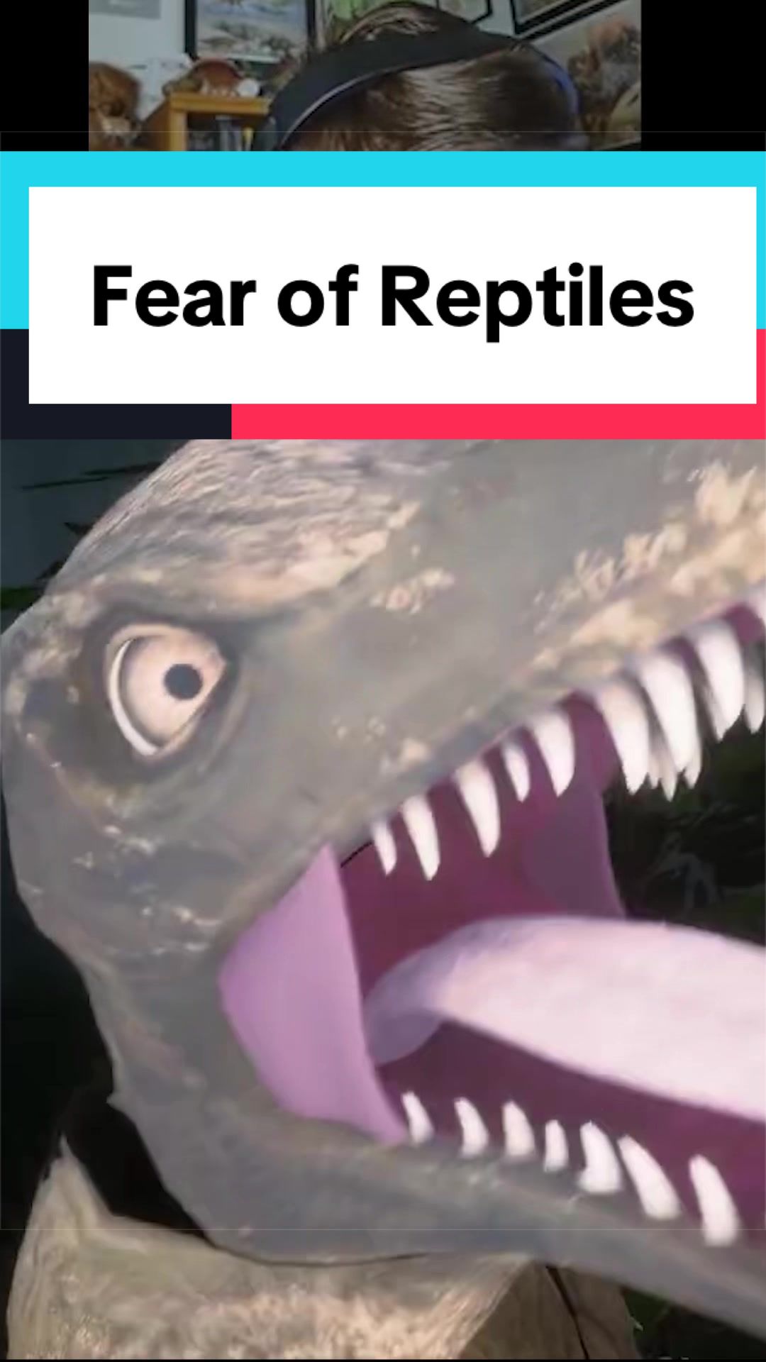 @Dino Guy
