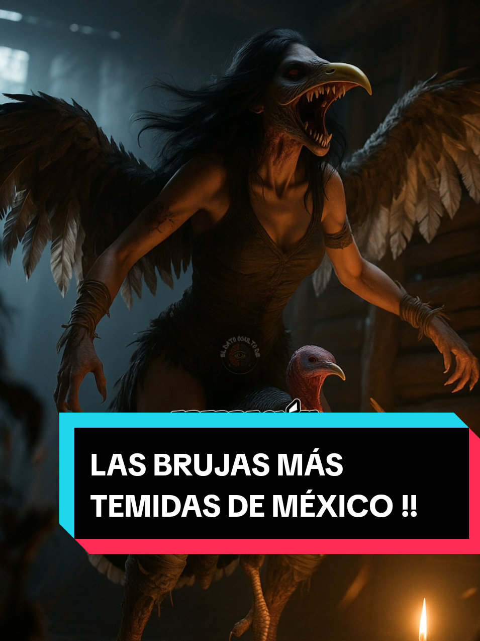 @El Dato