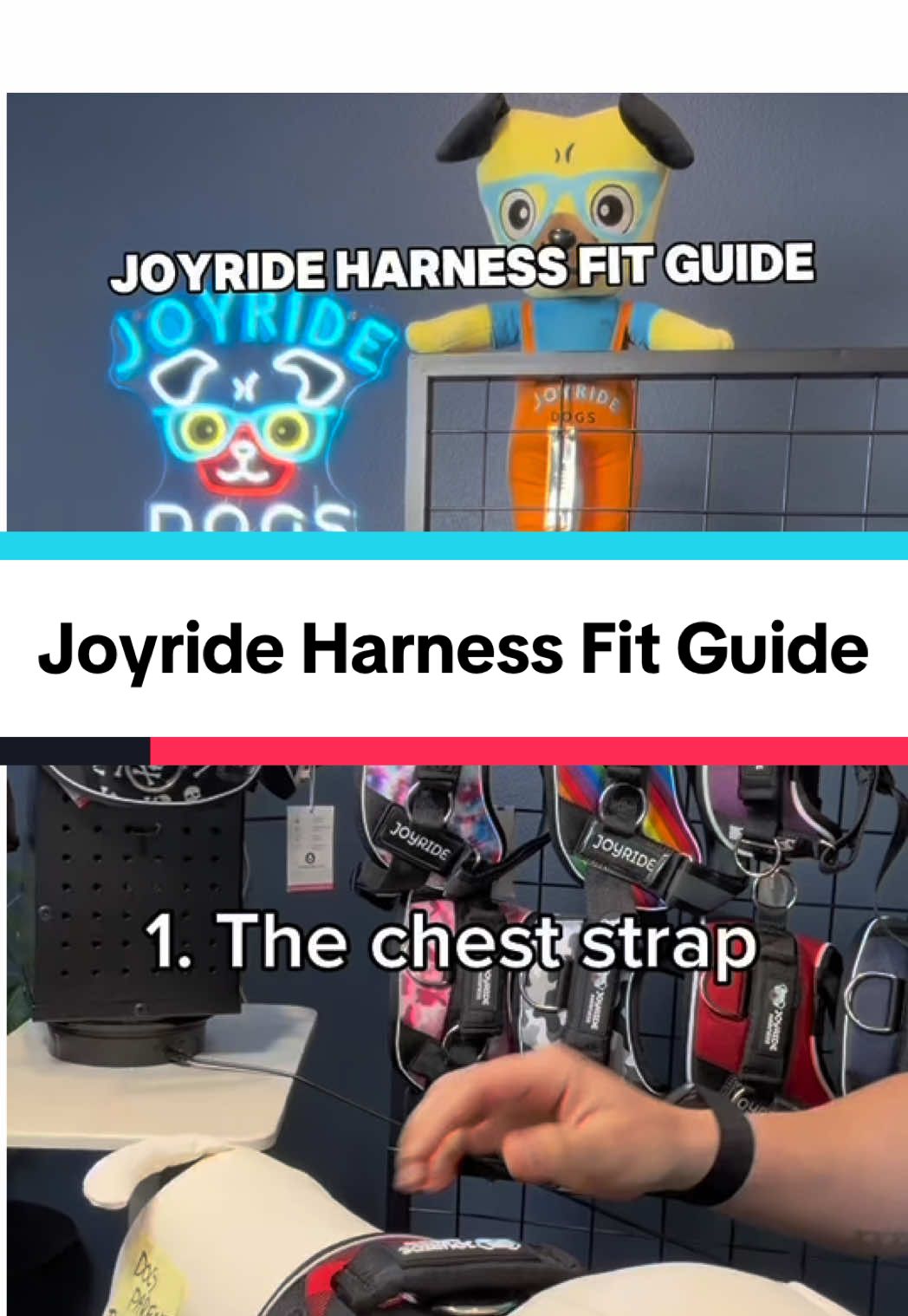 @Joyride Dogs