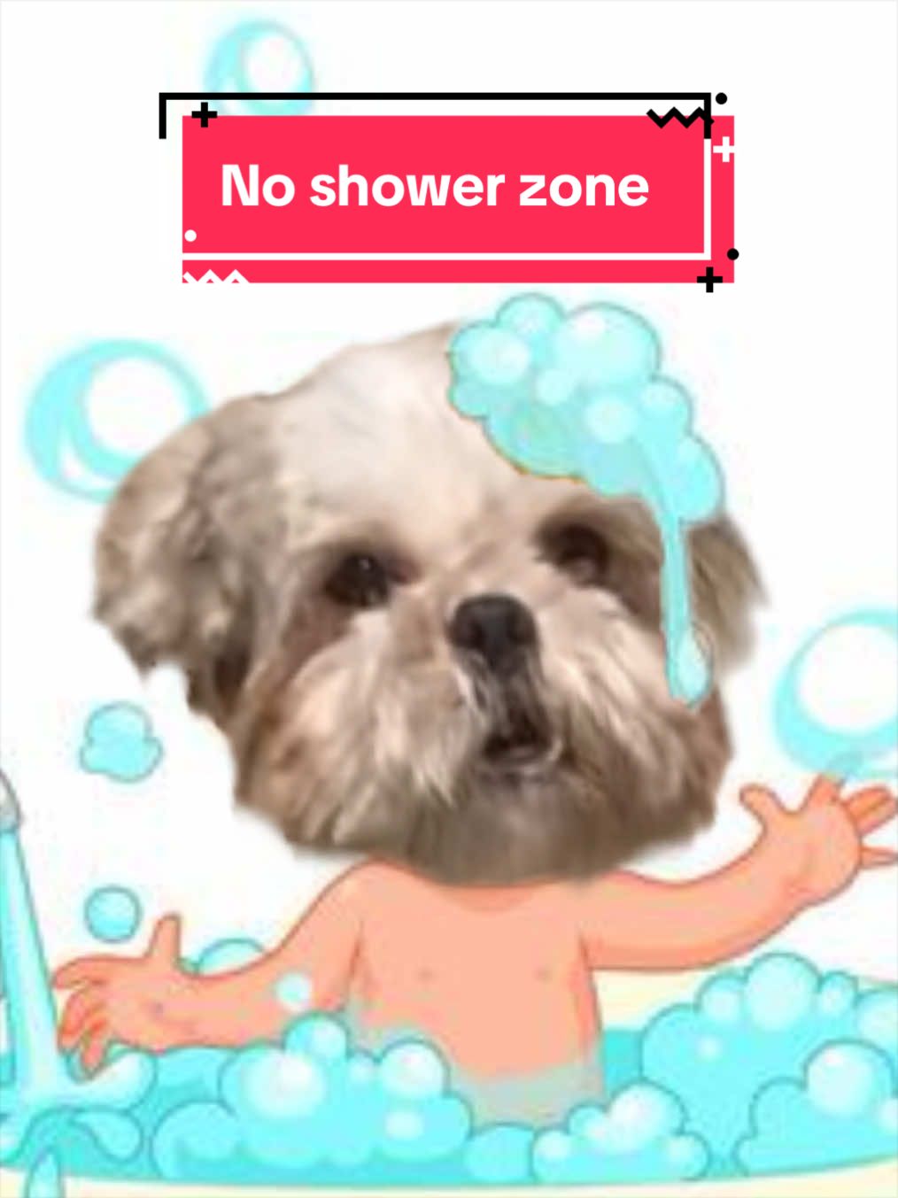 @2many.mutts
