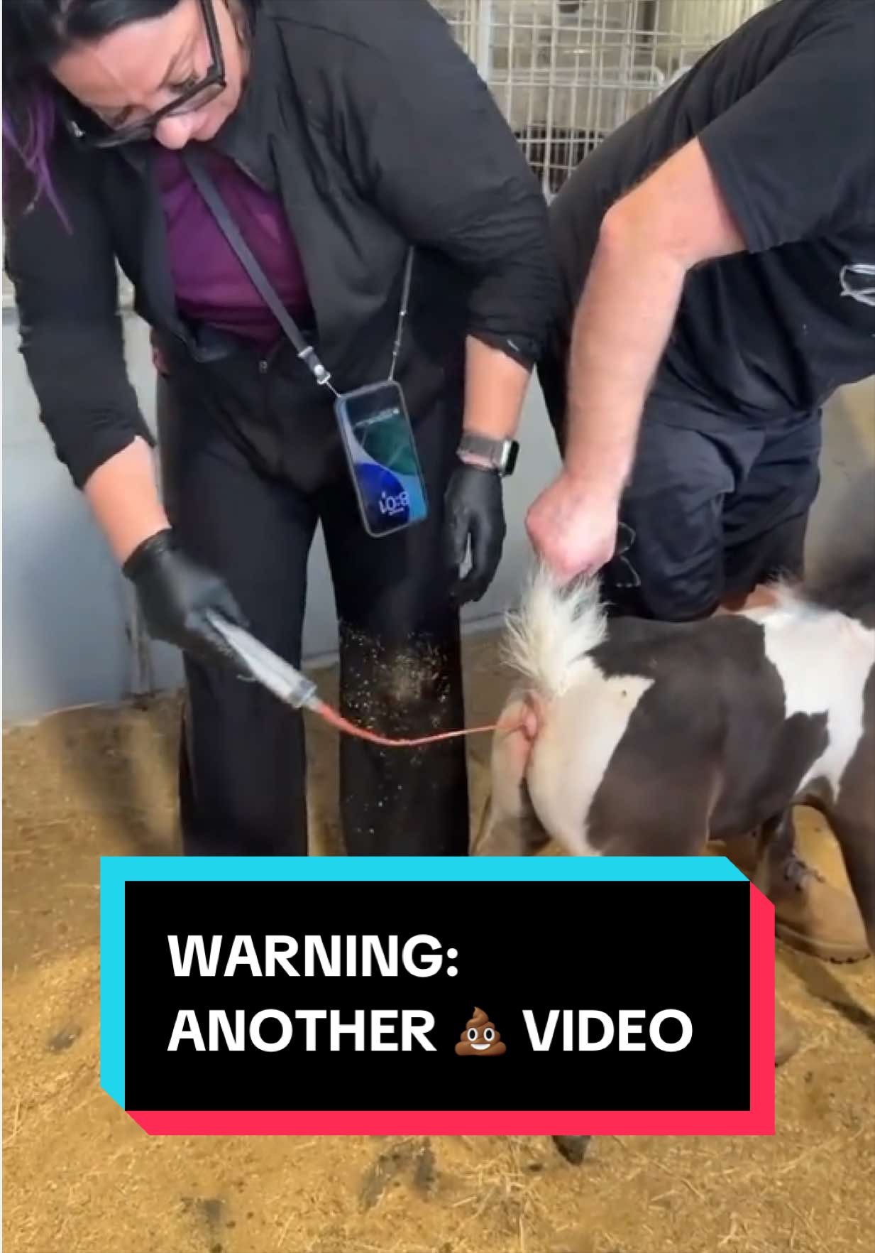 @Dr.Nicole-VetMed