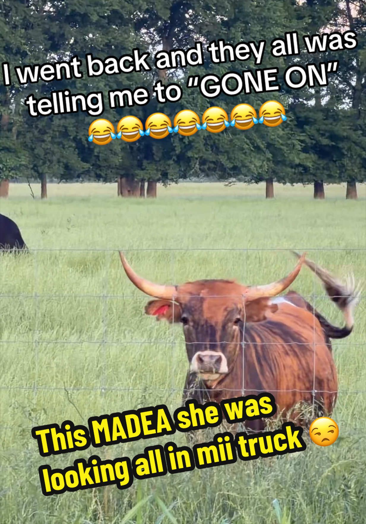 @bossdvincii
