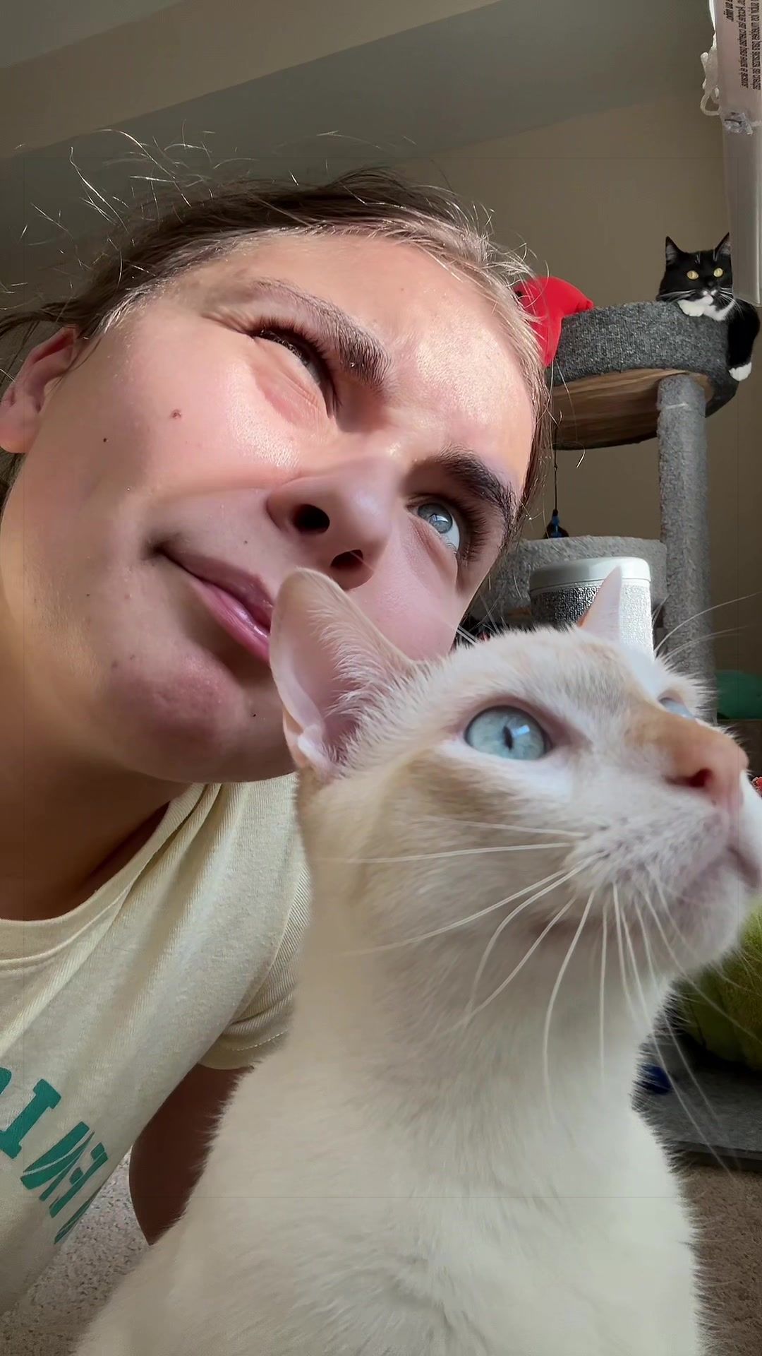 @FamiliarFEYpets