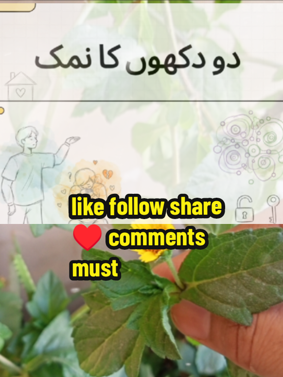 @𝐃𝐞𝐞𝐧𝐞𝐚𝐧𝐛𝐢𝐲𝐚