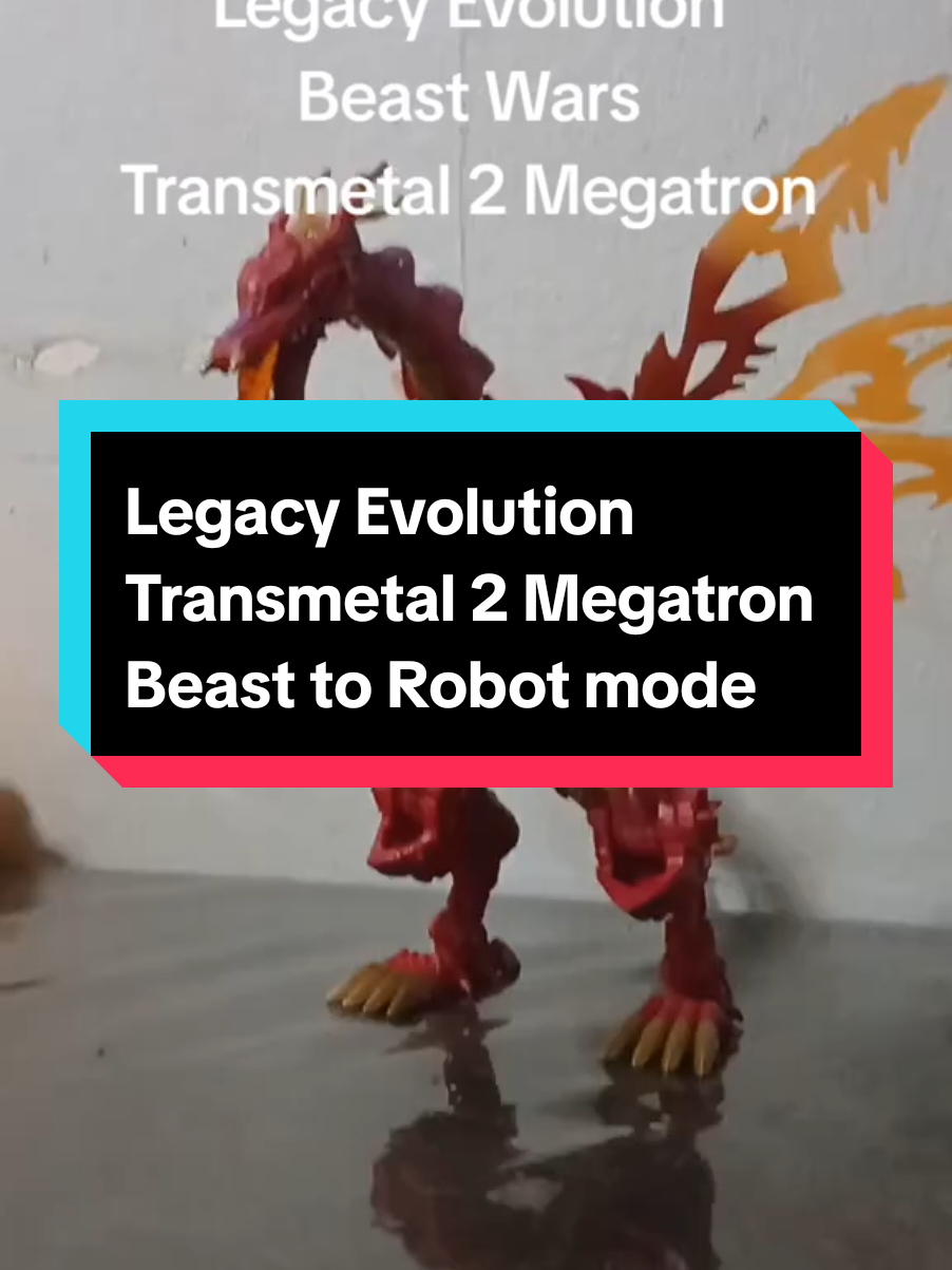 @Transformers collector