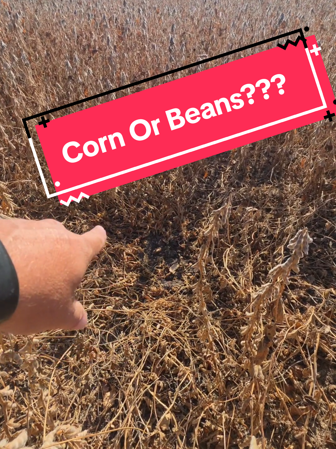 @Bushart Farms