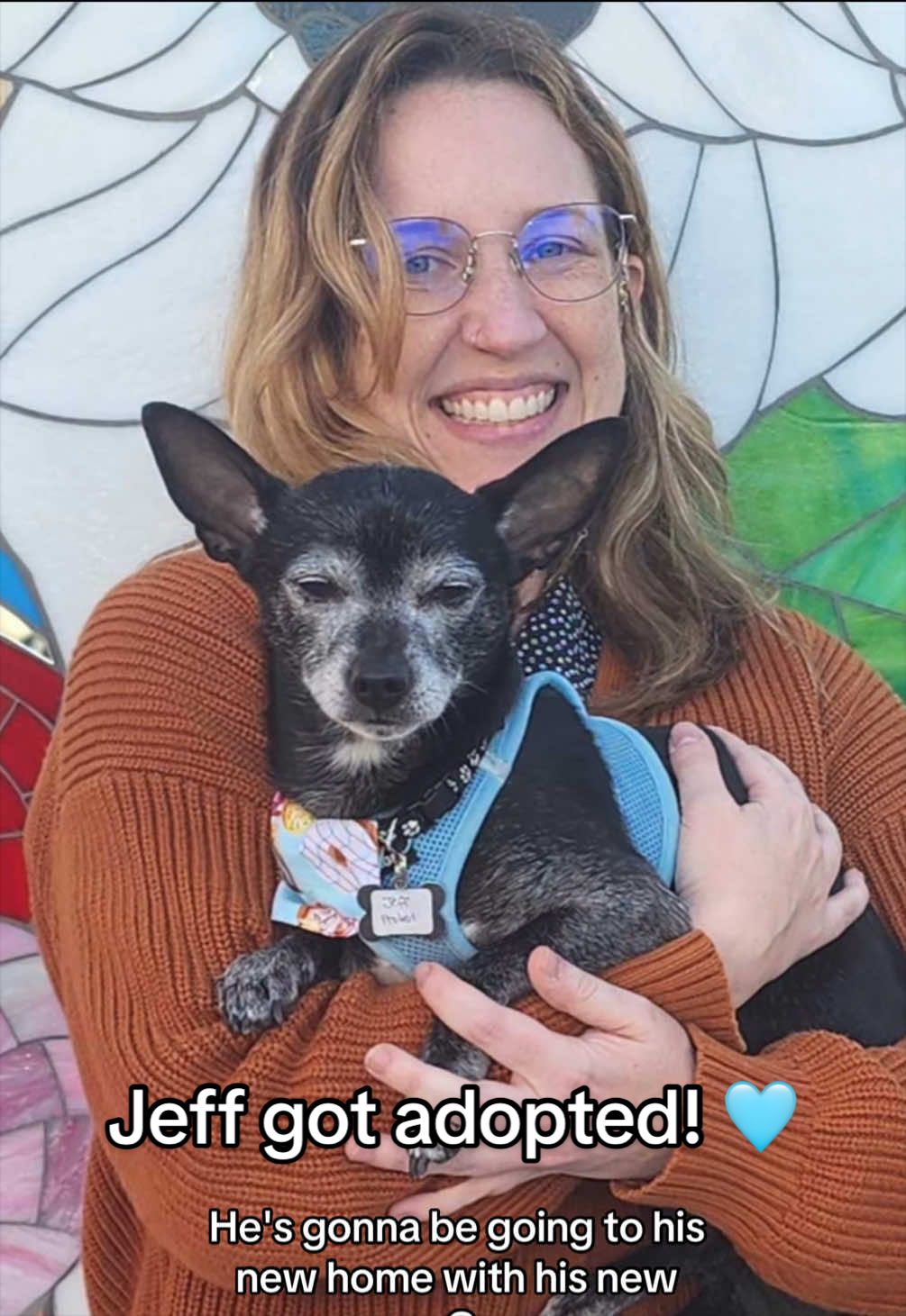 @Lisa fosters senior dogs 🐶